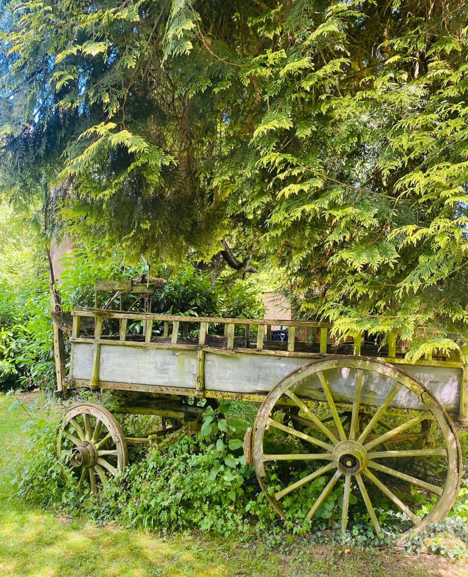 Moulin Du Fontcourt Bed and Breakfast Chasseneuil-sur-Bonnieure Exteriör bild